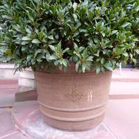 2 Vor Kunsthalle Lin P1120009 2 Vor Kunsthalle Lin P1120009